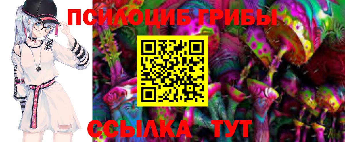 Ступино  Псилоцибиновые грибы мухоморы  Галлюциногенные грибы Magic Shrooms  Вход с VPN 